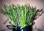 asparagi-selvatici.jpg
