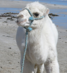 Schermata 2014-06-17 a 09.14.07.png