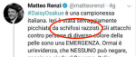 renzi_daisy.png