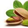 pistacchio